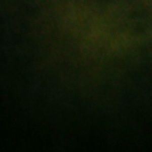 Meet your Posher, Arnoldo